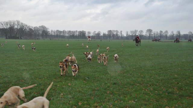 Slipjacht (zaterdag  8 december 2018)